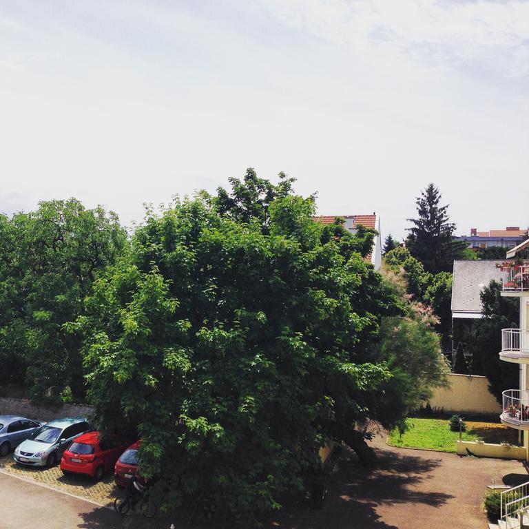 Tündérpart Apartment Eger Habitación foto